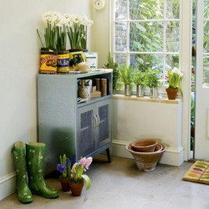 indoor tin can gardens